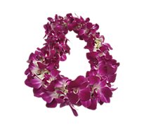 Orchid Lei Dendrobium Single - EA