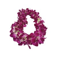 Orchid Lei Dendrobium Single - EA - Image 1