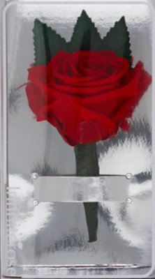 Preserved Rose Boutaniere - EA - Image 2