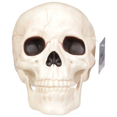 Seasons Plastic Skull with Moveable Jaw - Each - Image 3