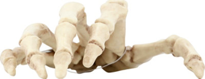 Seasons Skeleton Hands - EA - Image 2