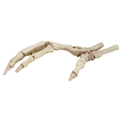 Seasons Skeleton Hands - EA - Image 1