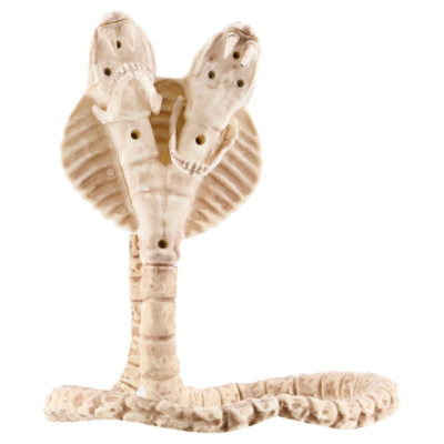 Seasons Skeleton High Definition Cobra - EA - Image 3