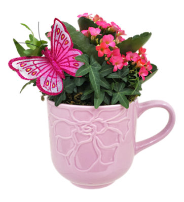 Mug Garden - Each - Image 1