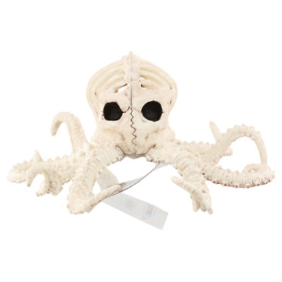 Seasons Octopus Skeleton - EA - Image 3