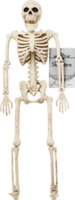 Seasons Skeleton 16 Inch - EA - Image 2
