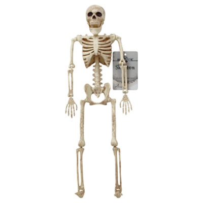 Seasons Skeleton 16 Inch - EA - Image 1