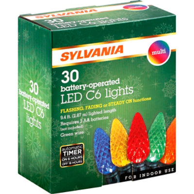 Inl 30ct Bo Led Multi C6 Lghts - EA - Image 1