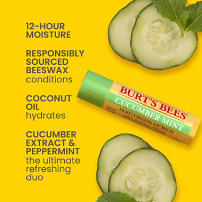 Burt's Bees Freshly Picked 100% Natural Moisturizing Lip Balm Variety Pack - 4 Count - Image 3