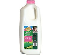 Kemps Select Fat Free Skim Milk Jug - 0.5 Gallon