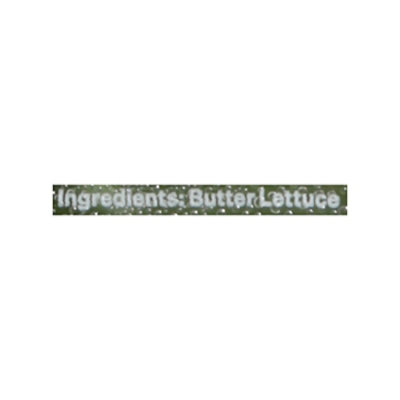 Local Bounti Butter Lettuce  - 4.5 Oz - Image 4