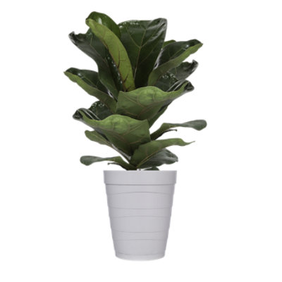 8 Foliage Plastic - EA