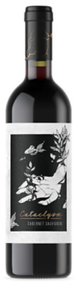 Cataclysm Cabernet Sauvignon Wine - 750 ML - Image 1
