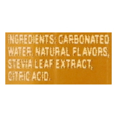 Zevia Zero Sugar Cream Soda - 12 Fl. Oz. - Image 4