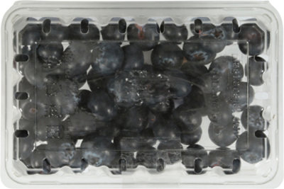 Signature Select/Farms Jumbo Blueberries - 9.8 Oz - Image 5