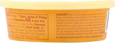 Plucky Pickle Dip Dip Pickle Wht Chdr Mstrd - 7 OZ - Image 5