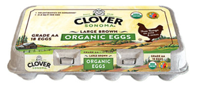 Clover Organic Eggs - 18 Count - Image 1