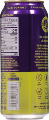 Vida Mate Blackberry Lemonade - 16 Oz - Image 6