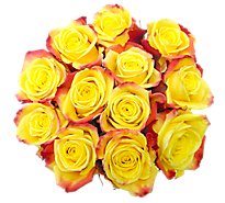 Debi Lilly Dozen Roses Yellow - EA