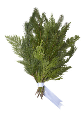 Dl Evergreen Bouquet Xmas - .75 LB - Image 1