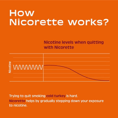 Nicorette 4mg Fruit Chill Gum - 100 Count - Image 4