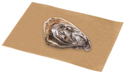 Oysters Duxbury Live - 2 Lb - Image 1