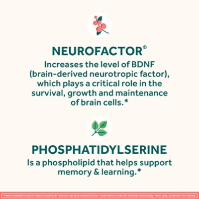 Neuriva Original Brain Perform - 30 Count - Image 6