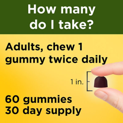 Nature Made Ashwagandha Gummies - 60 Count - Image 3