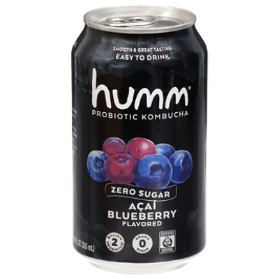 Humm Kombucha Blueberry Mint Zero Sugar 12oz - 12 OZ