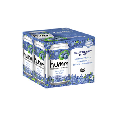 Humm Kombucha Blueberry Mint - 4-12 Fl. Oz. - Image 1