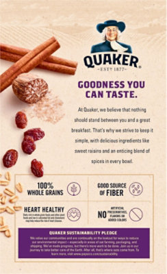 Quaker Raisin Spice Instant Oatmeal - 12.1 Oz - Image 6