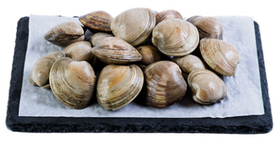 Fresh Live Manilla Clams In The Shell - 1 Lb - Image 1