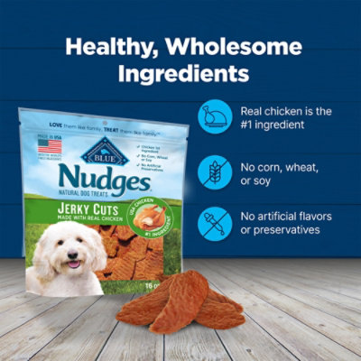 Blue Buffalo Nudges Bite-Sized Chicken Pieces Jerky Bites Dog Treats In Bag - 16 Oz - Image 8