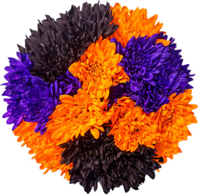 Spooky Poms Bunch 6 Stem - Each - Image 1