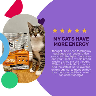 I and love and you Naked Essentials Chicken + Duck Dry Cat Food - 3.4 Lb - Image 5