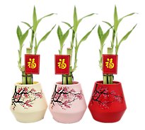 4 Inch Bamboo Cherry Blossom Ceramic
