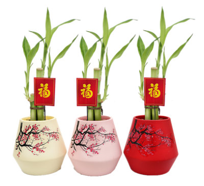 Bamboo Cherry Blossom Ceramic 4 Inch - Each - albertsons