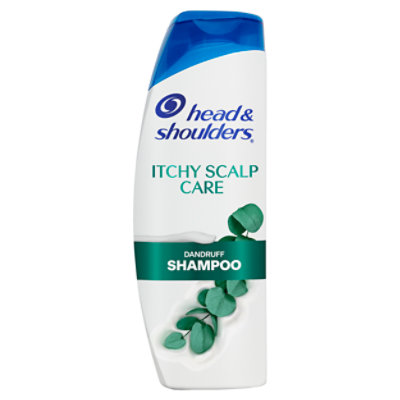 Head & Shoulders Itchy Scalp Care Anti-dandruff Shampoo - 12.5 Fl. Oz.