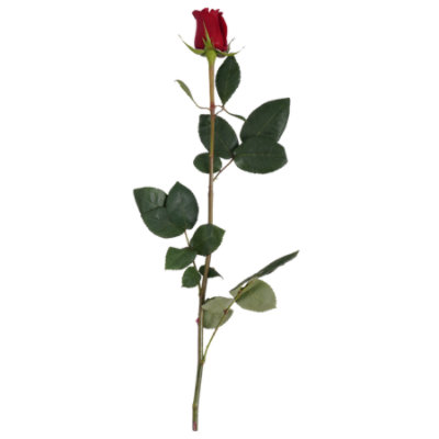 Debi Lilly Rose Single Stem Promo Each Safeway