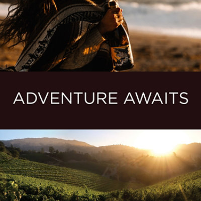 Juggernaut Sonoma Coast Chard Wine - 750 Ml - Image 5