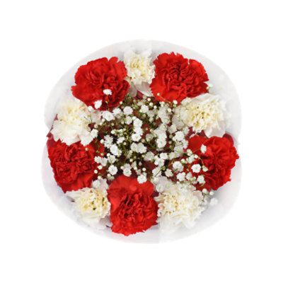 Guadalupe Carnation Each Safeway