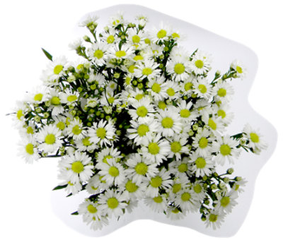 Color Box Green/white - Each - Image 1