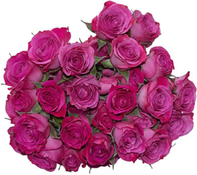 Spray Rose 9 Stem - Each - Image 1
