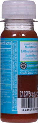 Suja Recovery Athletic Shot - 2 FZ - Image 5