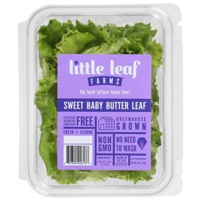 Sweet Baby Butter Lettuce - 4 Oz - Image 3