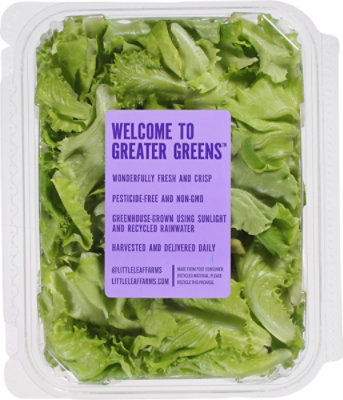 Sweet Baby Butter Lettuce - 4 Oz - Image 5