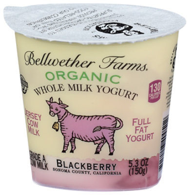 Bellwether Farms Blackberry Whole Milk Grade A Organic Yogurt - 5.3 Oz - Image 4