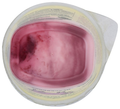 Bellwether Farms Blackberry Whole Milk Grade A Organic Yogurt - 5.3 Oz - Image 7