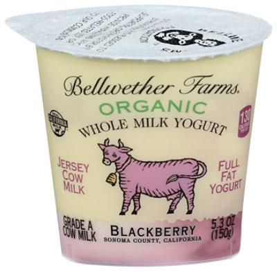 Bellwether Farms Blackberry Whole Milk Grade A Organic Yogurt - 5.3 Oz - Image 1
