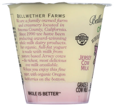 Bellwether Farms Blackberry Whole Milk Grade A Organic Yogurt - 5.3 Oz - Image 6